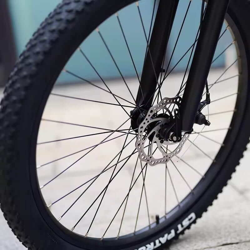 q5 electric bike tire